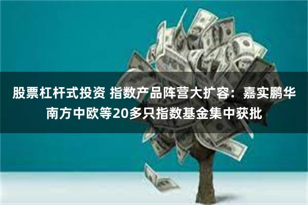 股票杠杆式投资 指数产品阵营大扩容：嘉实鹏华南方中欧等20多只指数基金集中获批