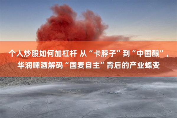 个人炒股如何加杠杆 从“卡脖子”到“中国酿”，华润啤酒解码“国麦自主”背后的产业蝶变