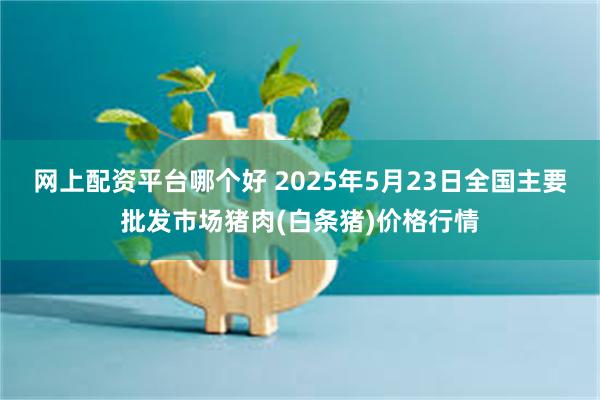 网上配资平台哪个好 2025年5月23日全国主要批发市场猪肉(白条猪)价格行情