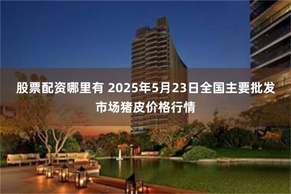股票配资哪里有 2025年5月23日全国主要批发市场猪皮价格行情