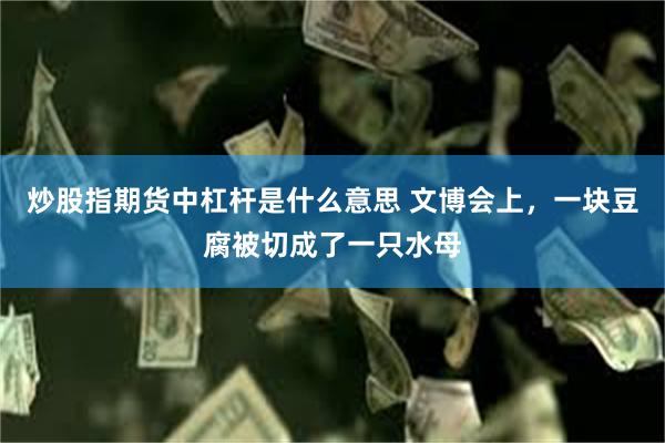 炒股指期货中杠杆是什么意思 文博会上，一块豆腐被切成了一只水母