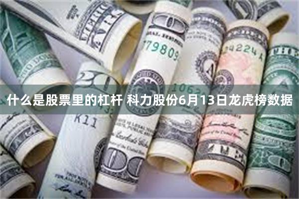 什么是股票里的杠杆 科力股份6月13日龙虎榜数据